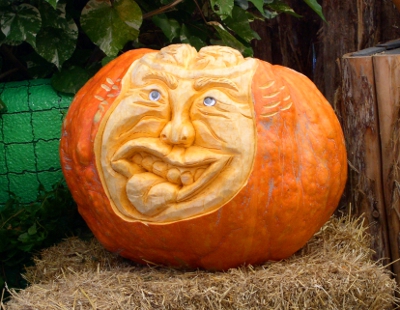 [Face carved into the side of a large pumpkin. The face has a tongue sticking out.]